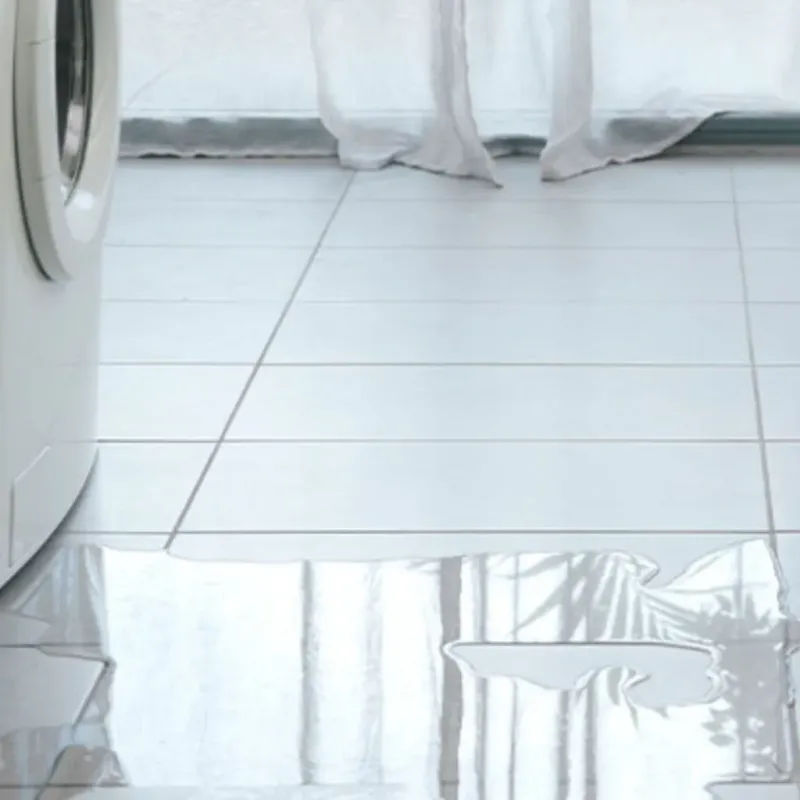 Appliance Leak Cleanup in Pulaski County, IL