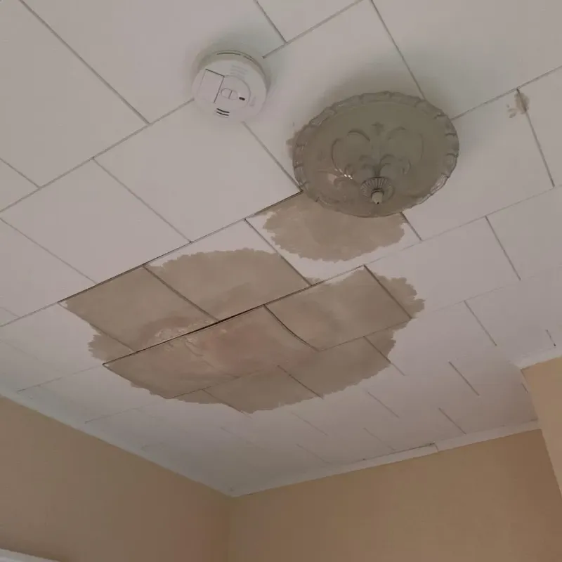 Ceiling Water Damage Repair in Pulaski County, IL