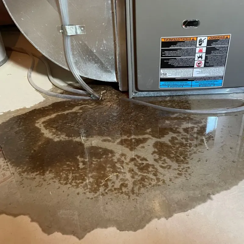 Pipe Burst and Leak Restoration in Pulaski County, IL
