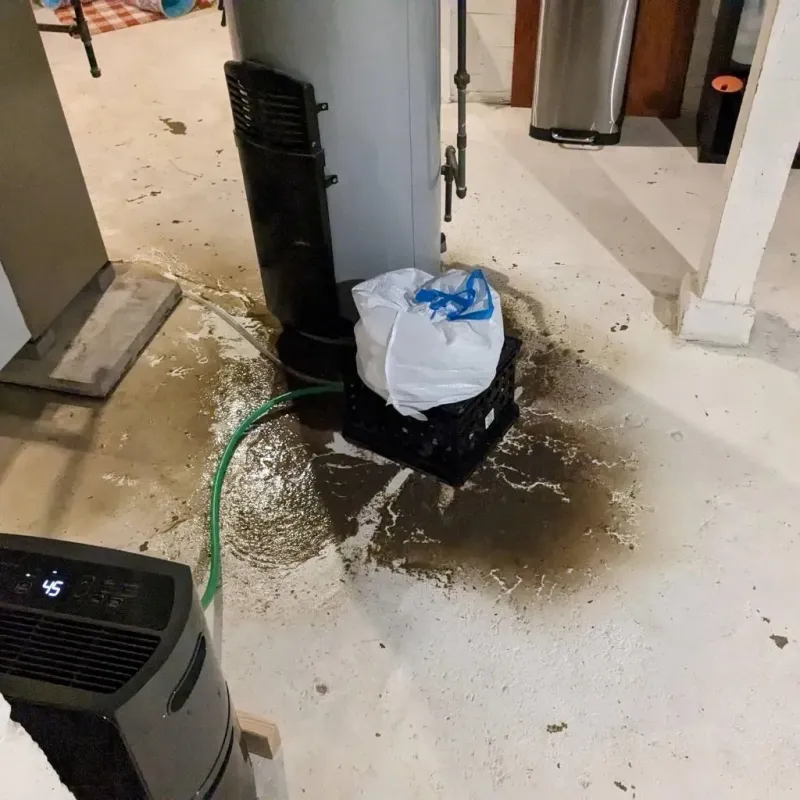 Sewage Backup Cleanup Service in Pulaski County, IL